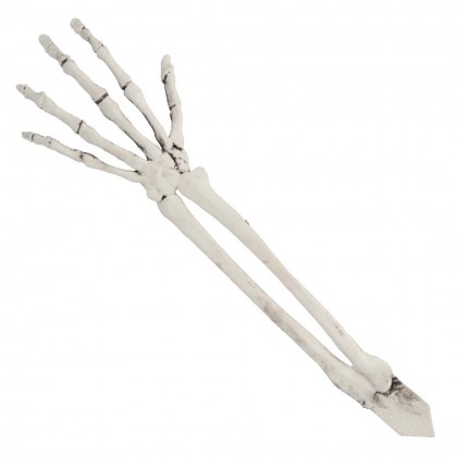 Set Begraven skelet (schedel en armen)