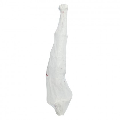 Hangdecoratie Spinnencocon (165 cm)
