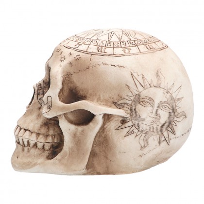 Schedel Astronomy (14 x 20 x 14 cm)