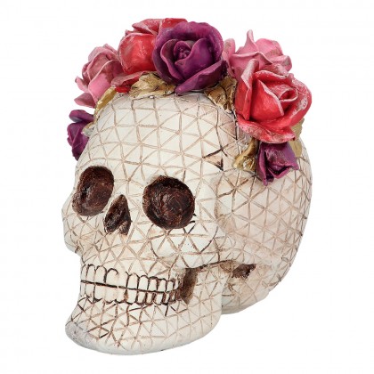 Schedel Señora Rosa (15 x 14 x 15 cm)