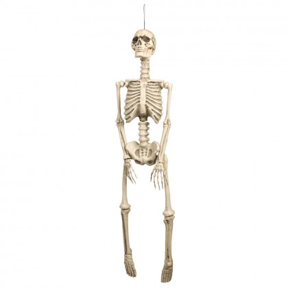 Hangdecoratie Skelet (92 cm)