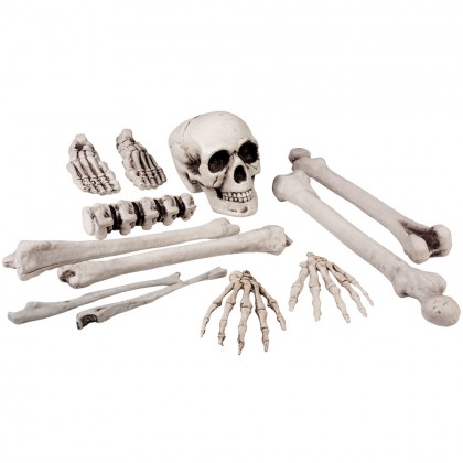 Set schedel en beenderen L 12-delig (40 cm)