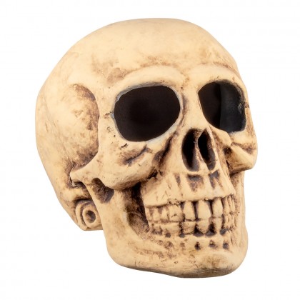 Schedel Bighead (35 x 35 x 47 cm)