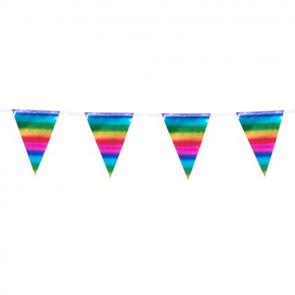 Folieminivlaggenlijn regenboog (14 x 10.5 cm)(3 m)