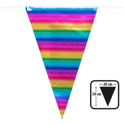 Folievlaggenlijn Regenboog (30 x 20 cm)(10 m)