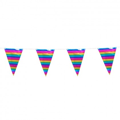 Foliereuzenvlaggenlijn regenboog (45 x 30 cm) (10 m)