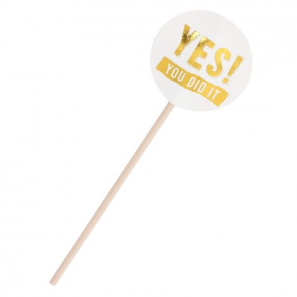 Set 12 cocktailprikkers Graduation (12 cm)