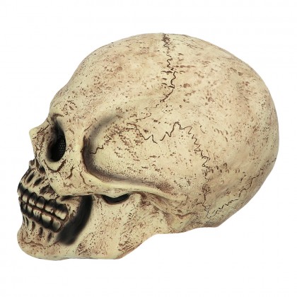 Latex hoofdmasker Skull