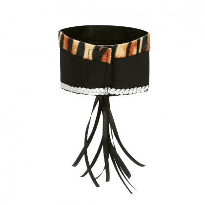 Set Sweet tiger (diadeem, choker, 2 armbanden, staart)