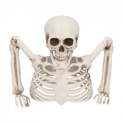 Skelet Groundbreaker (20 cm)