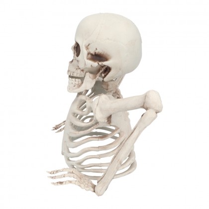 Skelet Groundbreaker (20 cm)