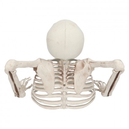 Skelet Groundbreaker (20 cm)