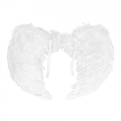 Engelenvleugels Elysia wit (60 x 40 cm)