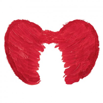 Engelenvleugels Elysia rood (60 x 40 cm)