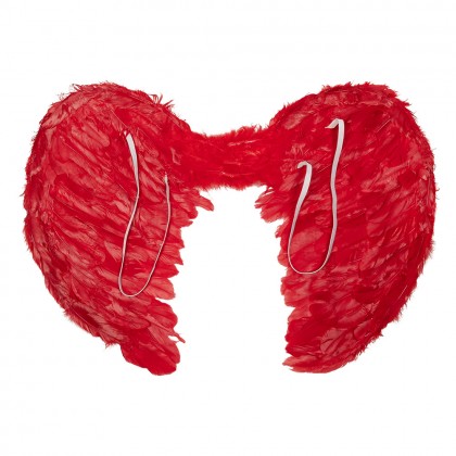 Engelenvleugels Elysia rood (60 x 40 cm)