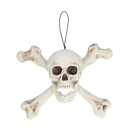 Schedel Roger (37 x 31 x 15 cm)