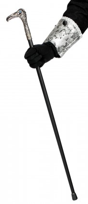 Wandelstok vogel