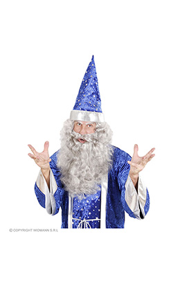 maxi baard grijs