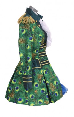 Carnavalsjasje luxe pauw lang 2025