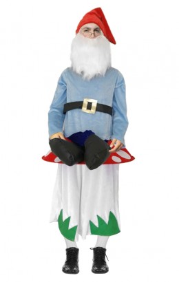 Kabouter op paddestoel