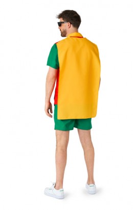 Suitmeister Robin funny costume